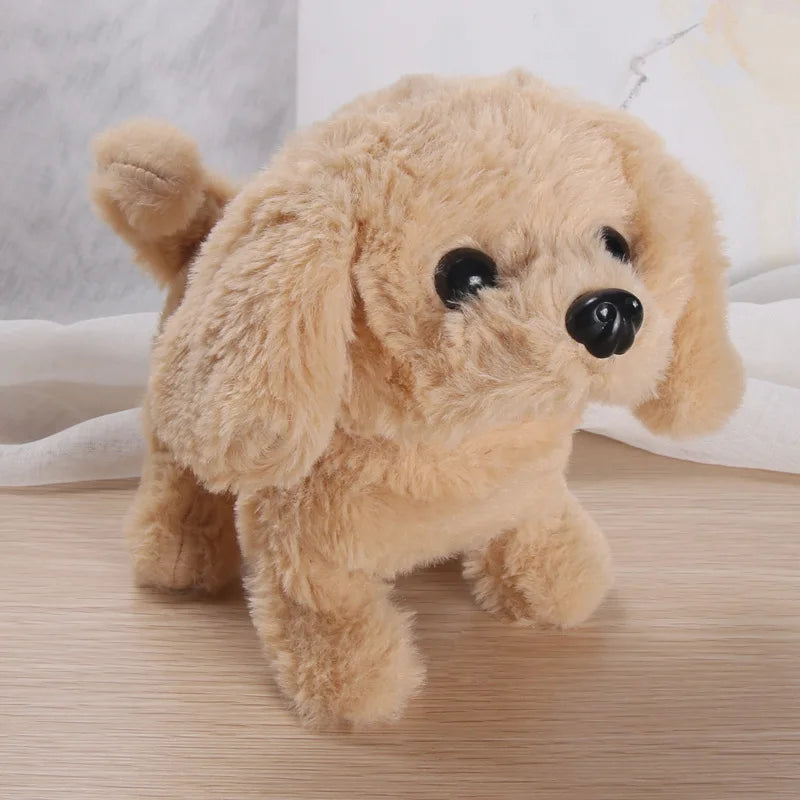 Robotic Dog